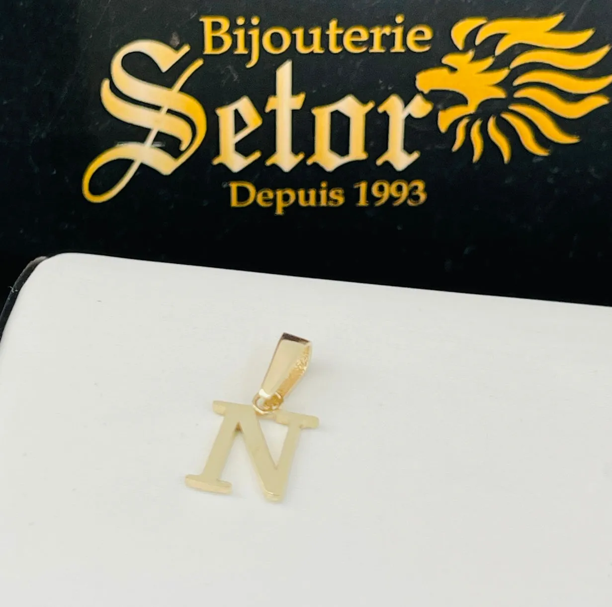 Initial pendant P352