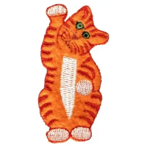 No Slippy Hair Clippy Peyton Orange Tabby Cat